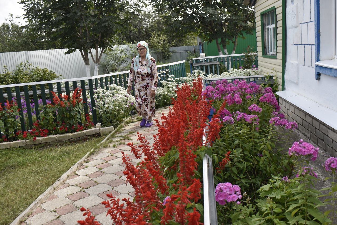 Тропинки, сад, двор Амины эби Саматовой украшены цветами