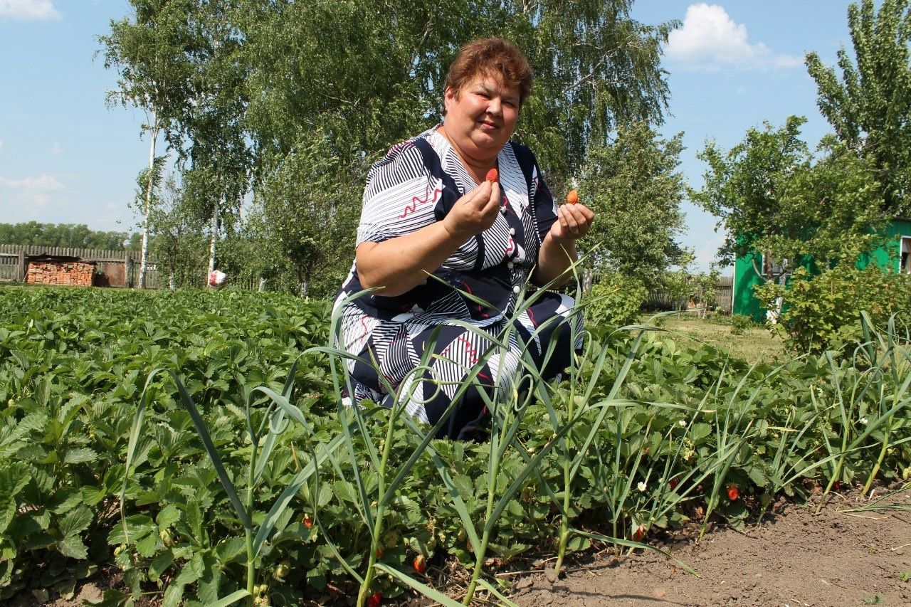 Сөенечләре дә, кайгылары да үземнеке