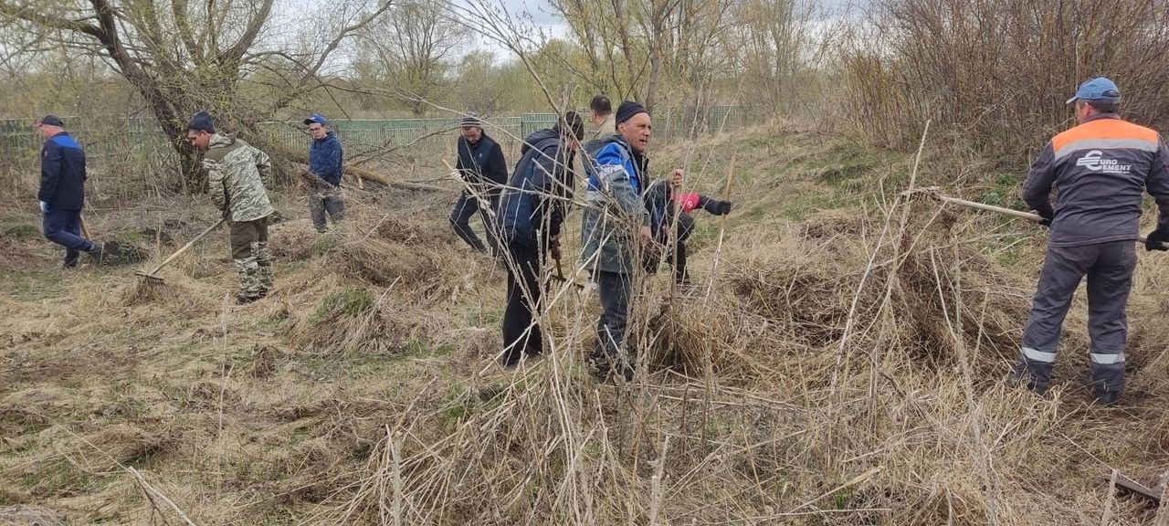 Апастовцы присоединились к Всероссийскому субботнику
