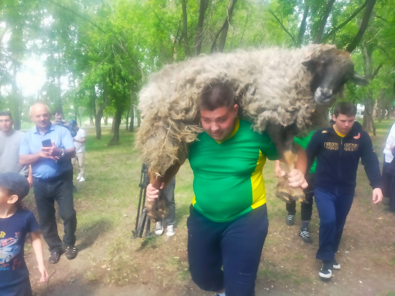 Апас егете - Курган Сабан туеның баш батыры