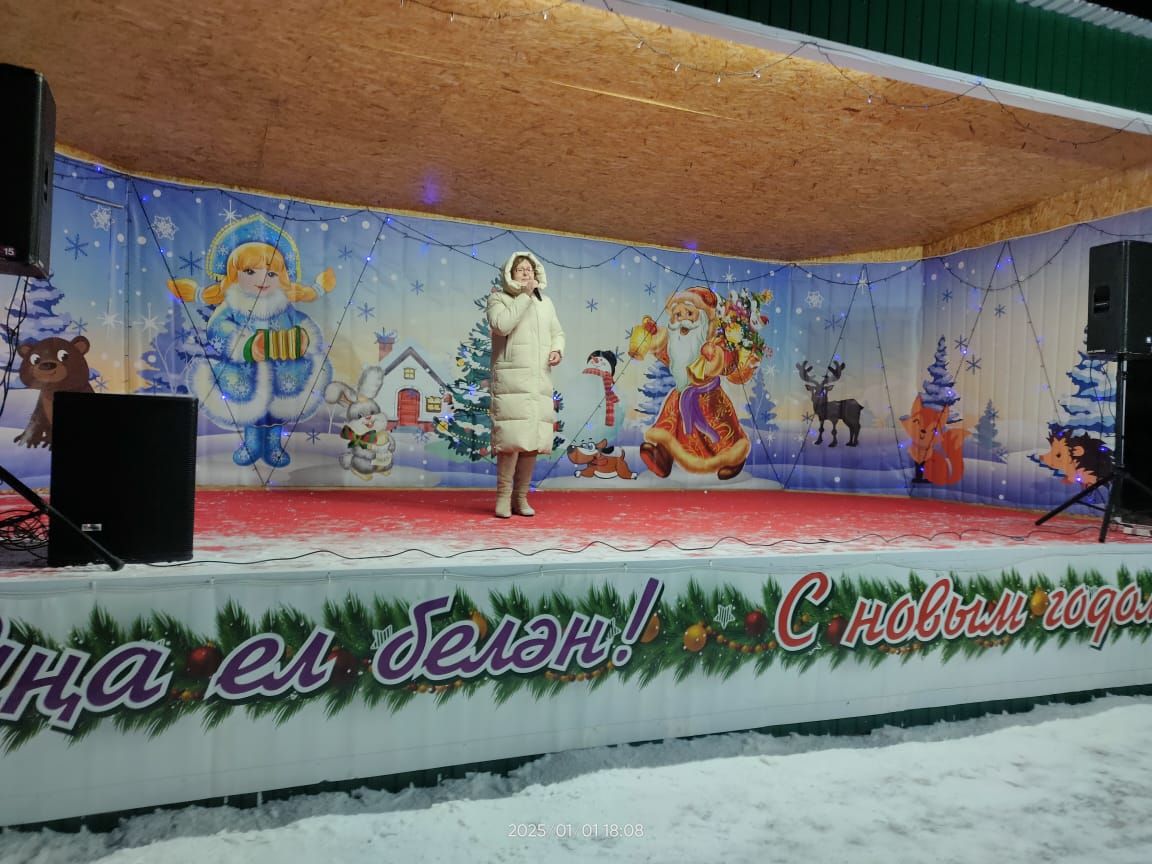 Апаста Үзәк чыршы тирәсендә күңел ачулар дәвам итә