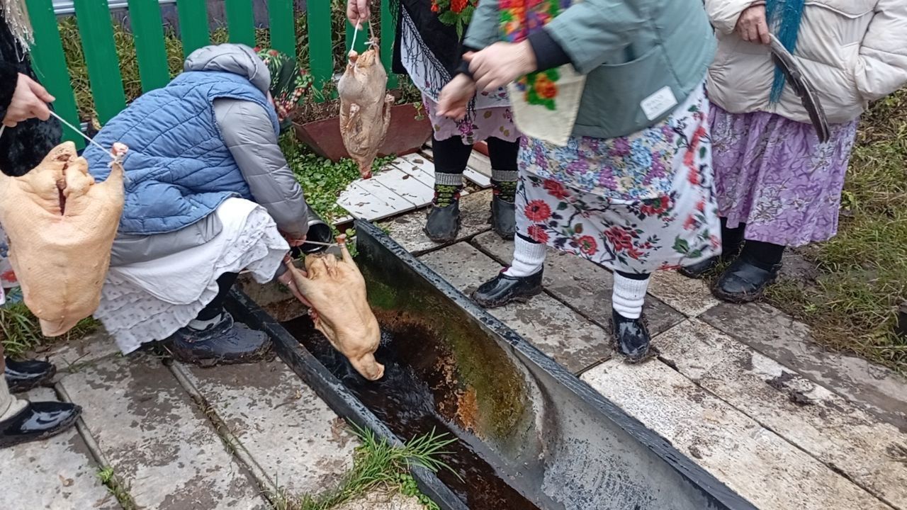 Карамасарда каз өмәсе!