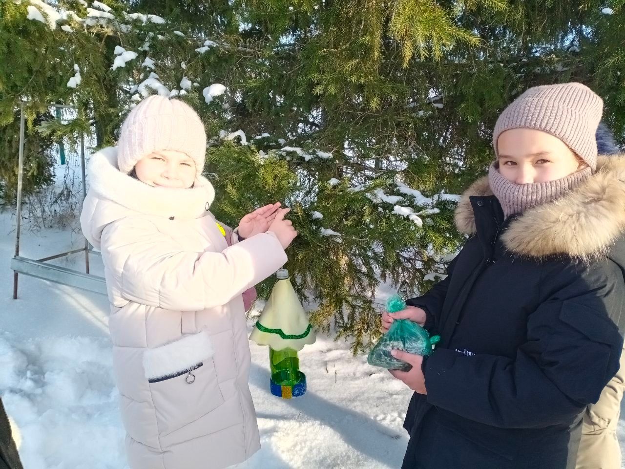 Учащиеся Табар-Черкийской школы присоединились к акции «Покормите птиц зимой!»