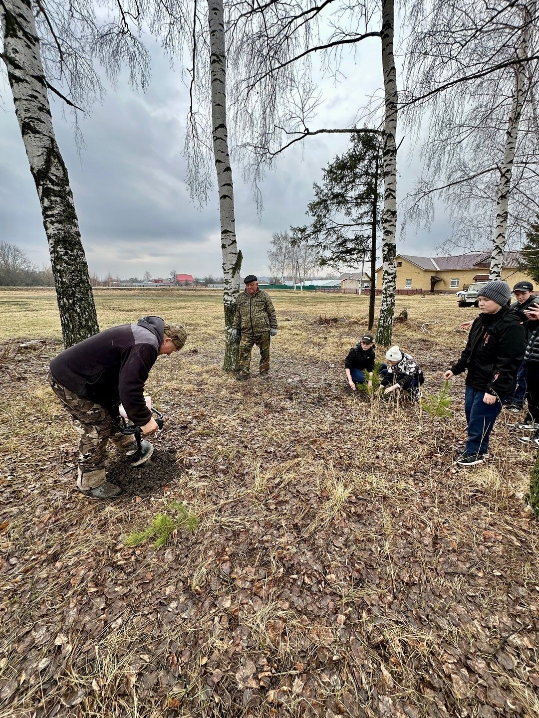 Возрождение памяти: жители Бишево высадили сосны на месте древнего кладбища