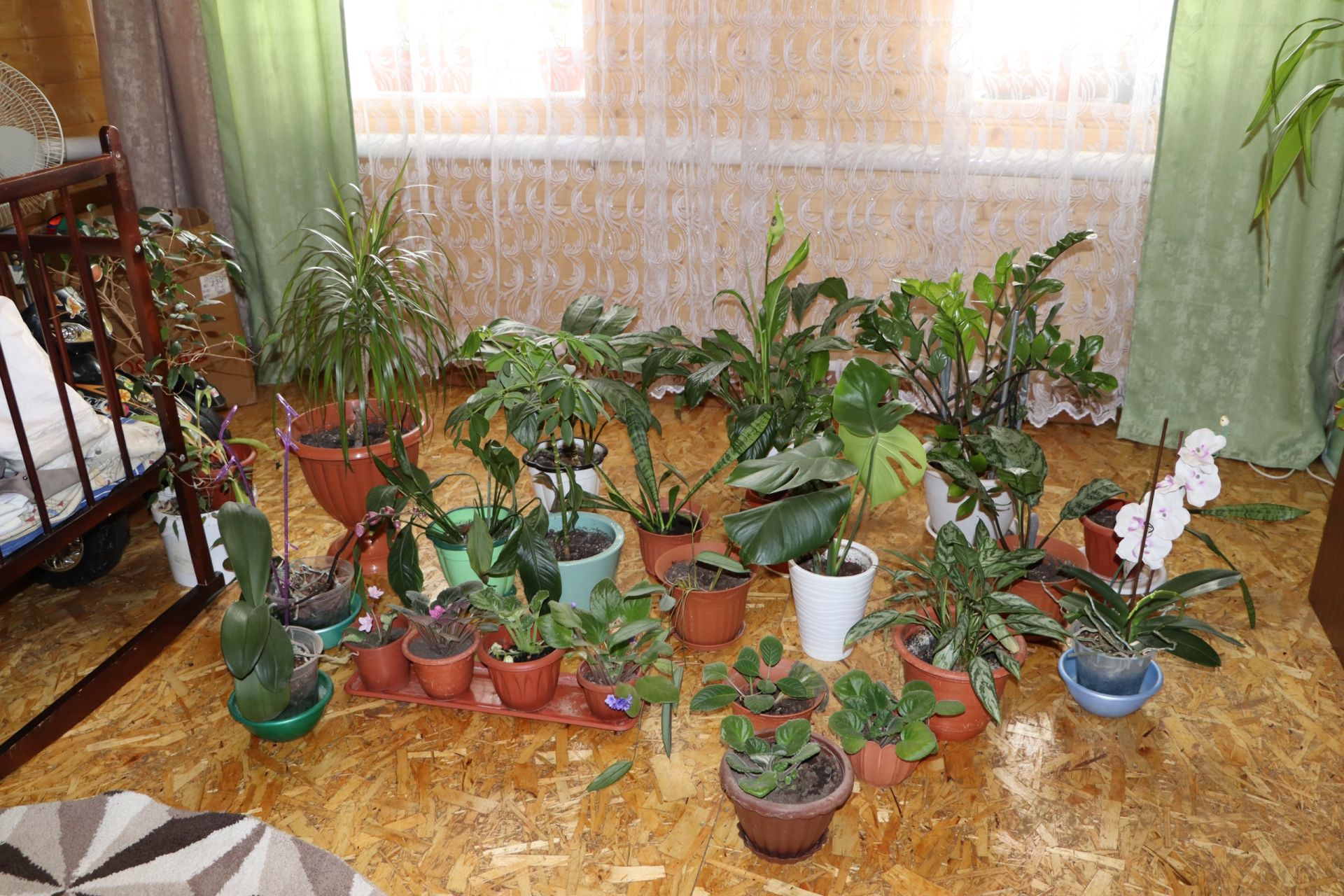 Әлмәндәр авылында яшәүче Фидания Гайнетдинова барысын да булдыра