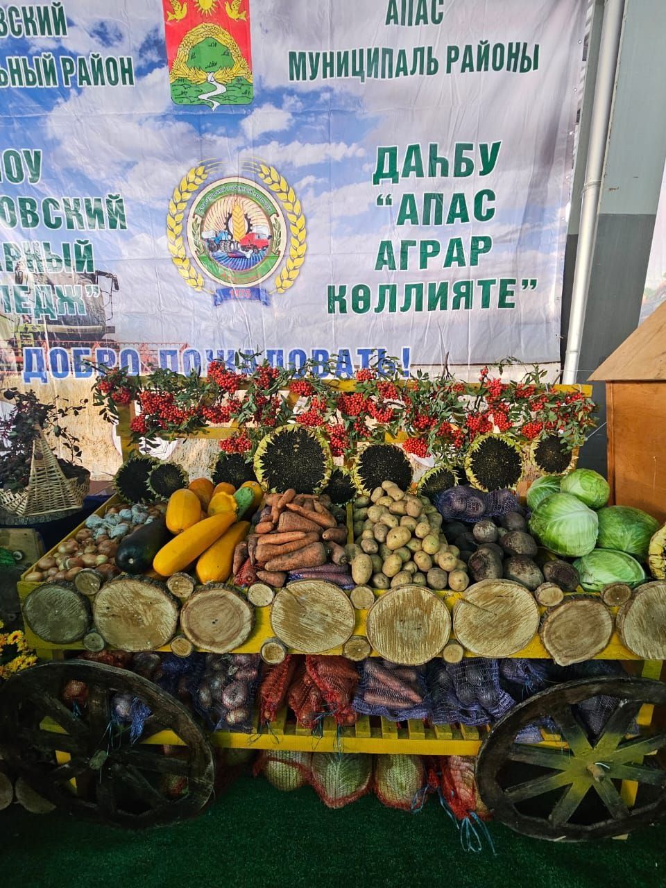 Апаслылар “Осталар шәһәре” ярминкә-күргәзмәсендә катнашты