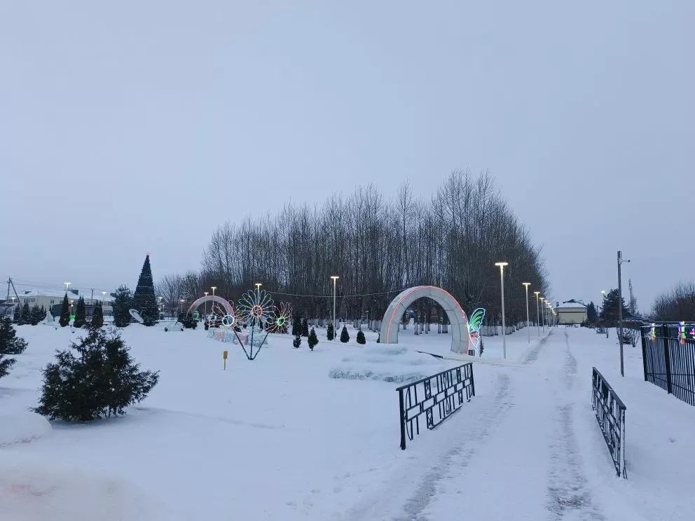 Синоптики Татарстана прогнозируют частые снегопады в январе
