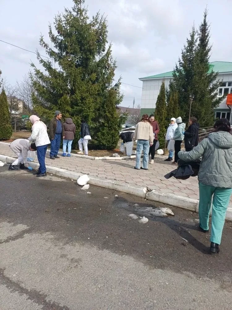 Апаста чисталык өмәләре уза