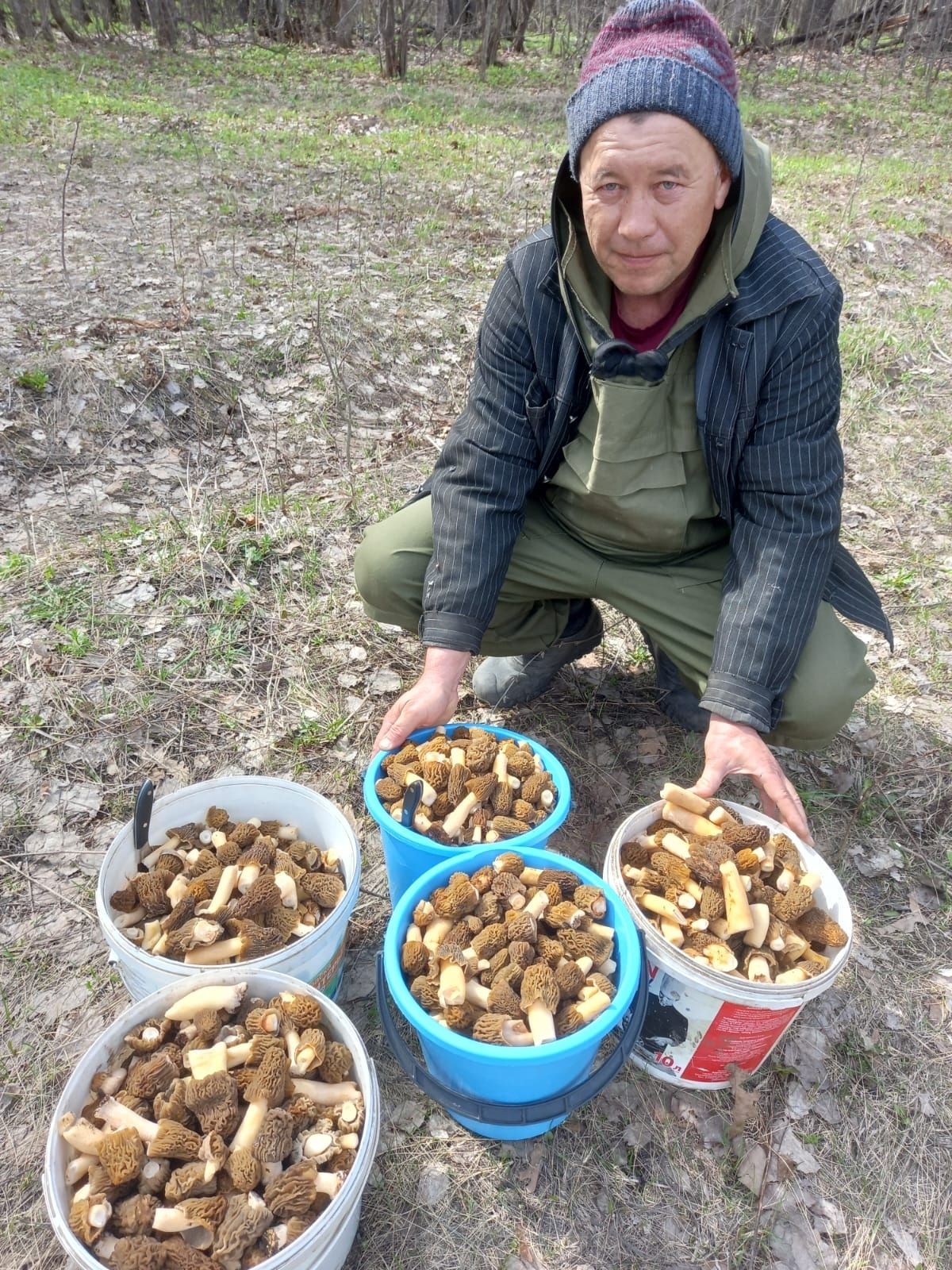“Кышкы табынга – урман күчтәнәче”