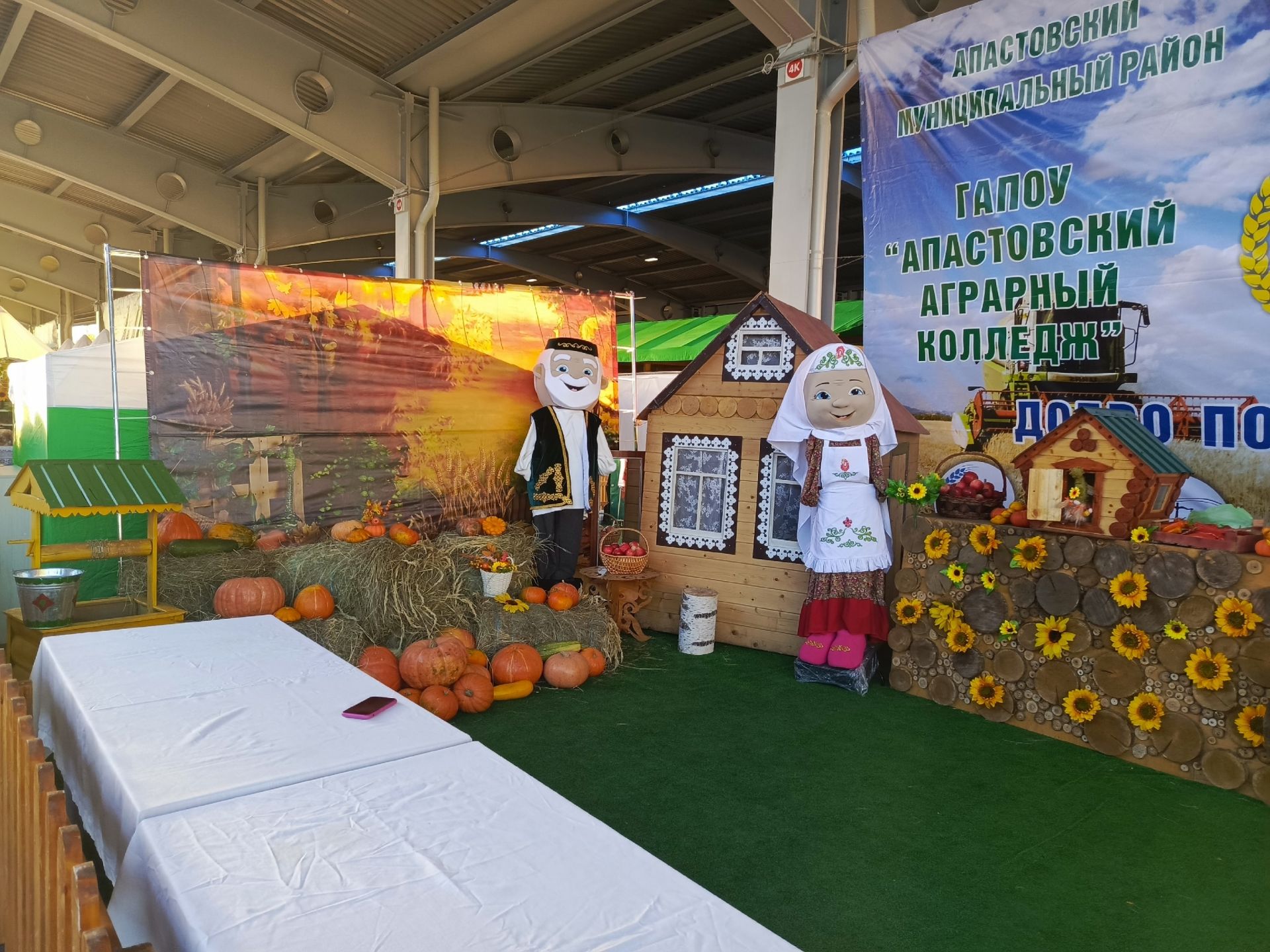 Апас аграр көллияте эшчәнлеге «Осталар шәһәре» ярминкәсендә югары бәя алды