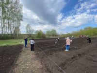 Кипит работа на пришкольном участке Мурзинской школы