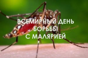 Всемирный день борьбы с малярией