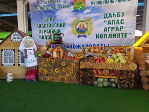 Апас аграр көллияте эшчәнлеге «Осталар шәһәре» ярминкәсендә югары бәя алды