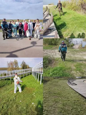 Апаста көзге өмәләр узды