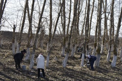 Апастовцы присоединились к Всероссийскому субботнику
