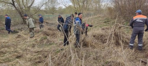 Апастовцы присоединились к Всероссийскому субботнику