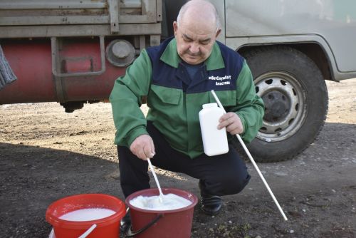 Важно, чтобы молоко было хорошего качества и соответствовало требованиям