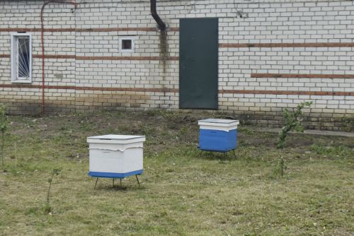 Апаста умарта кортлары авыруларын кисәтү буенча зонакүләм семинар узды