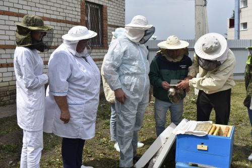 Апаста умарта кортлары авыруларын кисәтү буенча зонакүләм семинар узды
