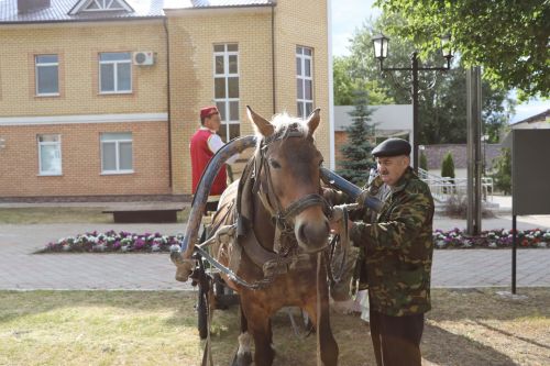 Апас бистәсендә Сабан туена бүләкне бизәлгән атлар һәм ретро машиналар белән җыйдылар