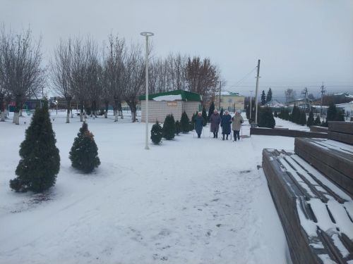 Апасның ветеран спортчылары скандинавия йөрешендә сыналды