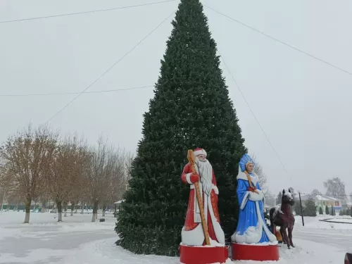 В Апастово состоится открытие центральной елки!