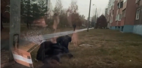 В Татарстане задержали парня, который готовил диверсию на одном из заводов Казани