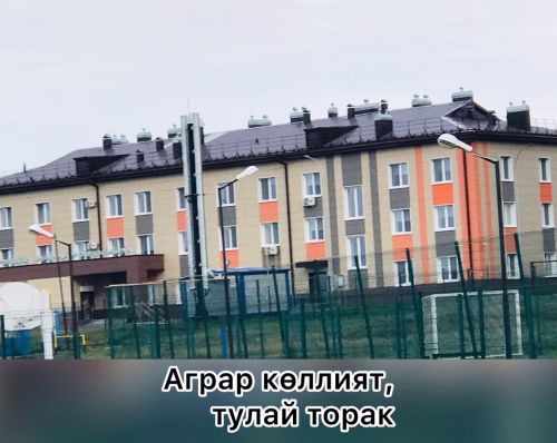 Апастовский аграрный колледж. Славный путь образовательного учреждения