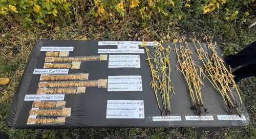 В Апастовском районе на базе ООО «СХП«Агроактив» прошло всероссийское мероприятие — полевая экспедиция