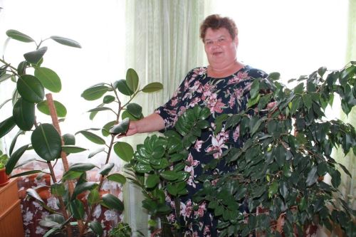 Авыр югалту: Хисамова Зөбәйдә Сәйдәш кызы вафат