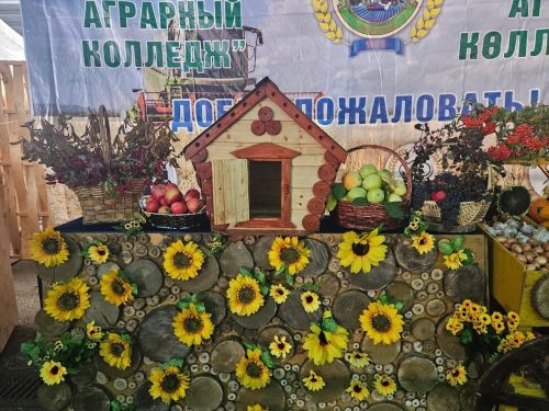 Апаслылар “Осталар шәһәре” ярминкә-күргәзмәсендә катнашты