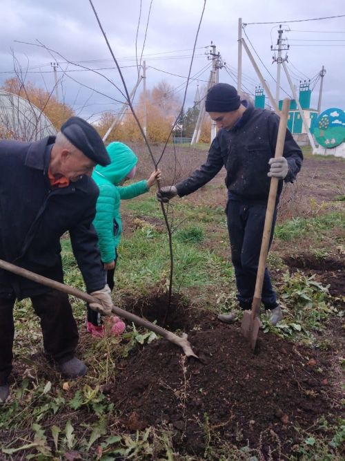 Учащиеся Бурнашевской школы проводят акцию «Бумеранг Добра»