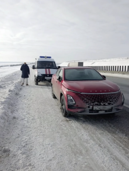 Коткаручылар Мамадыш районында М12 трассасында салкында туңып беткән парга булышкан
