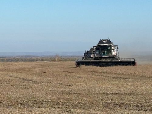 “Апас-мол” берләшмәсендә сояны бөртеккә суктыру эше бара