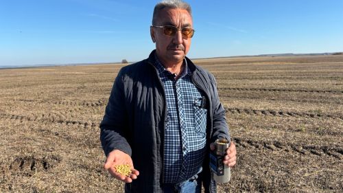 “Апас-мол” берләшмәсендә сояны бөртеккә суктыру эше бара