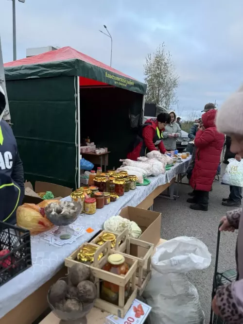 Апаслылар кабат көзге ярминкәдә