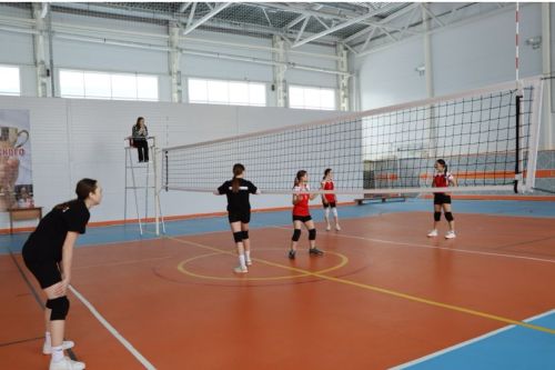Апаста хөрмәтле остаз Рәмис Гыйззәтов үзенең туган көнендә волейбол ярышлары уздырды
