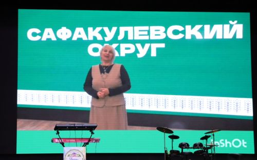Апаста мәдәният хезмәткәрләре хөрмәтләнде