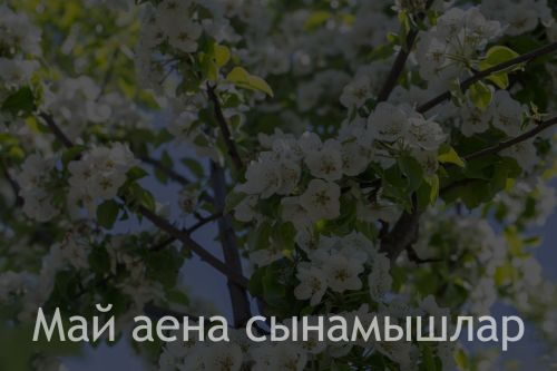 Май аена сынамышлар
