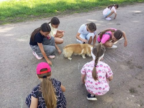 Кече Болгаерда “Авылда рәхәт” лагере бара