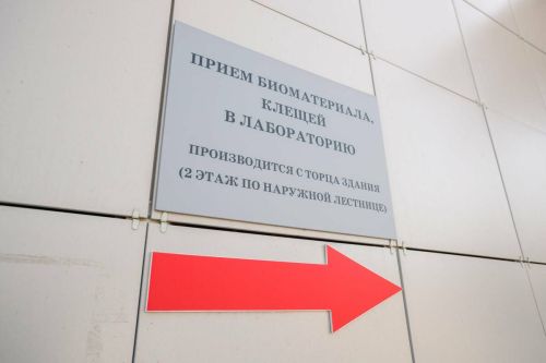 Татарстанда сезон башыннан беренче талпан боррелиозы очраклары ачыкланган