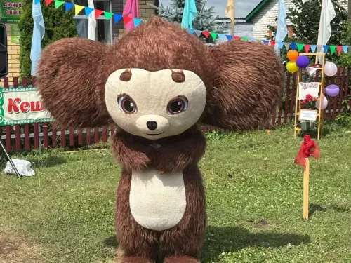 Аюкөйдергәндә Авыл көне гөрләде