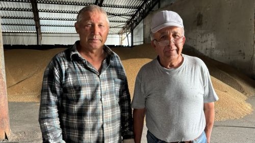 Кырда да, амбарда да очратабыз аларны