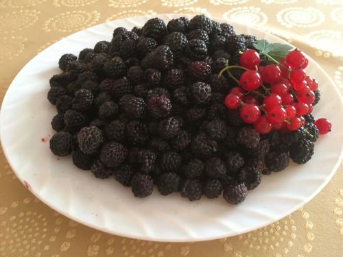 Кара бөрлегән картаюдан саклый...
