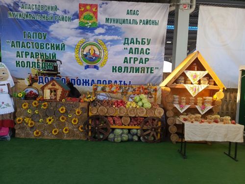 Апас аграр көллияте эшчәнлеге «Осталар шәһәре» ярминкәсендә югары бәя алды