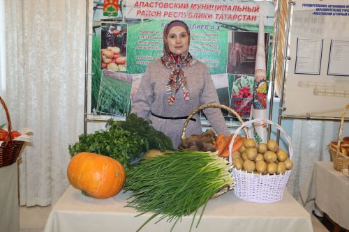 Итоговая сессия Апастовского района РТ