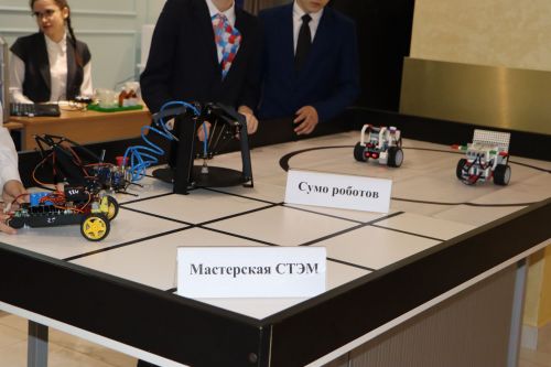 Итоговая сессия Апастовского района РТ