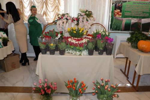 Итоговая сессия Апастовского района РТ