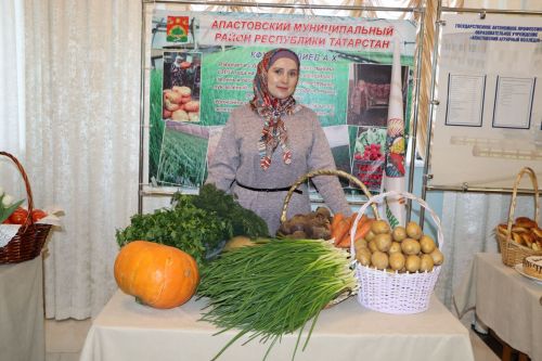 Итоговая сессия Апастовского района РТ