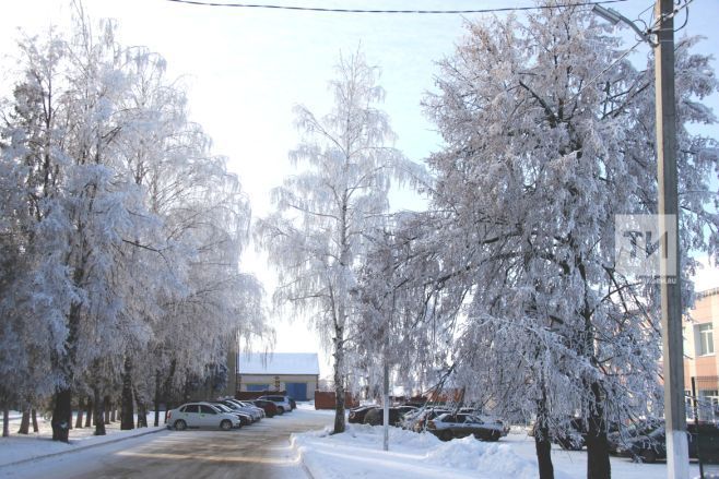 Казан федераль университеты профессоры татарстанлыларга нинди кыш көтәргә икәнен әйтте